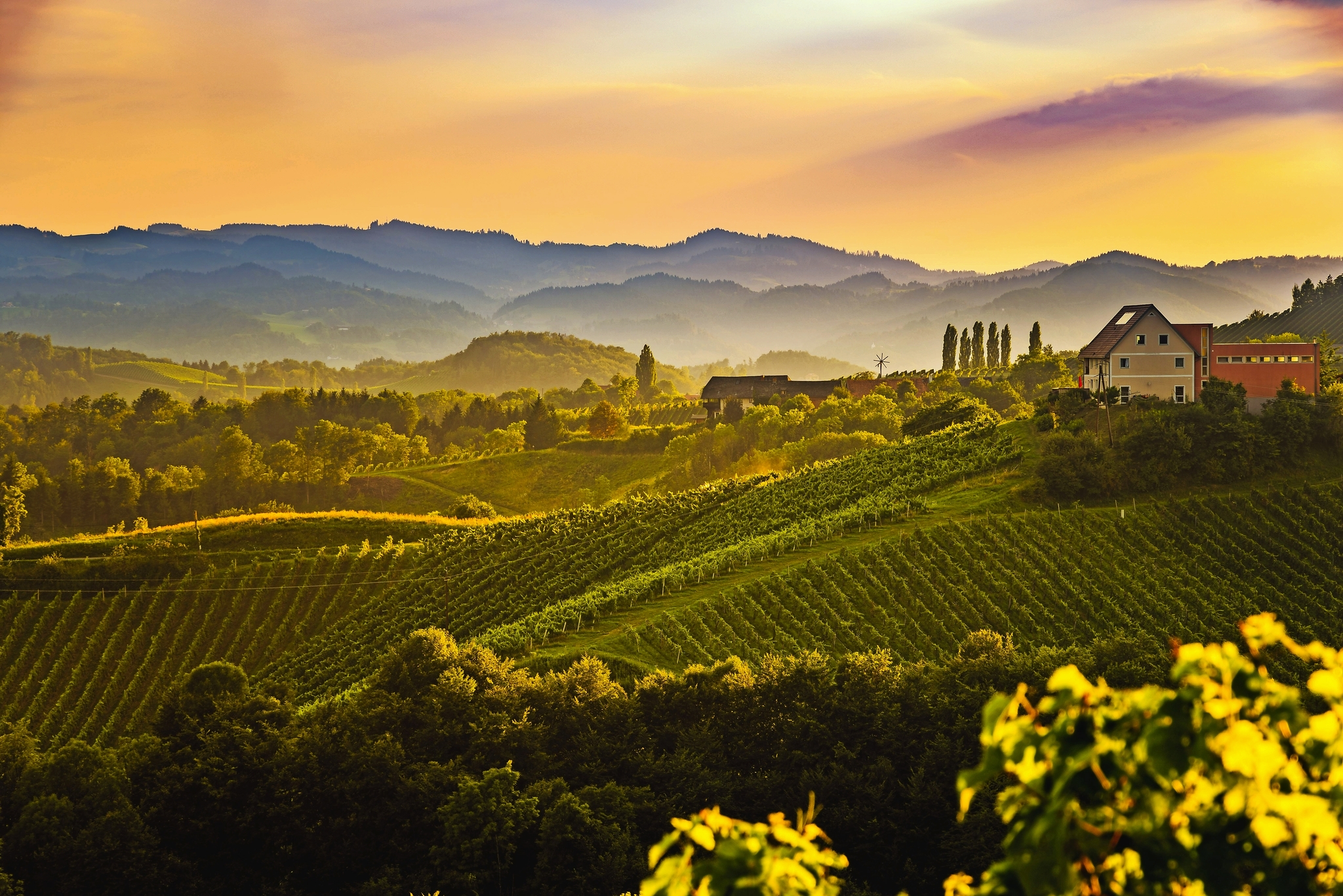 Steiermark Steiermark Bild