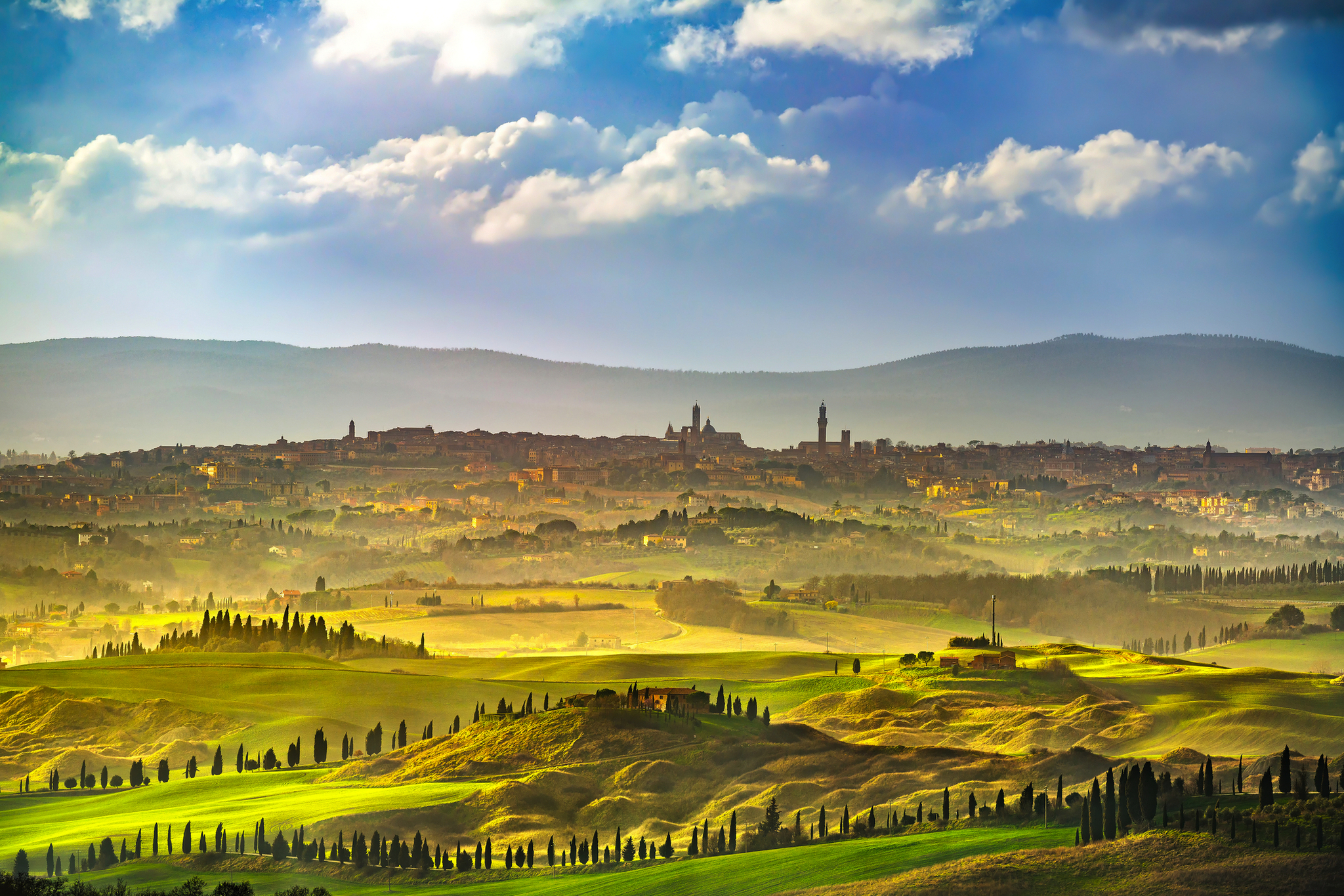 Landschaft um Siena Hügellandschaft mit Zypressen und Stadt im Hintergrund bei bewölktem Himmel.